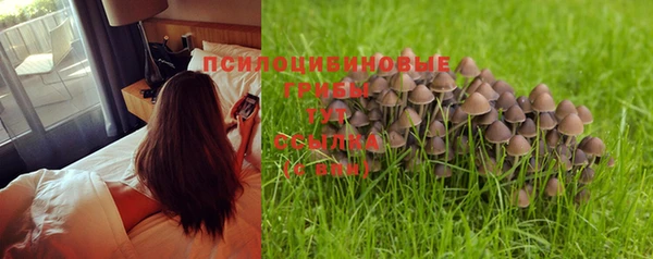 стафф Нестеровская