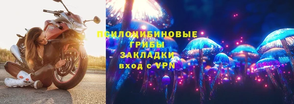 стафф Абдулино