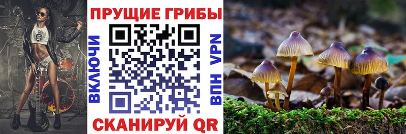 Галлюциногенные грибы мицелий Александров