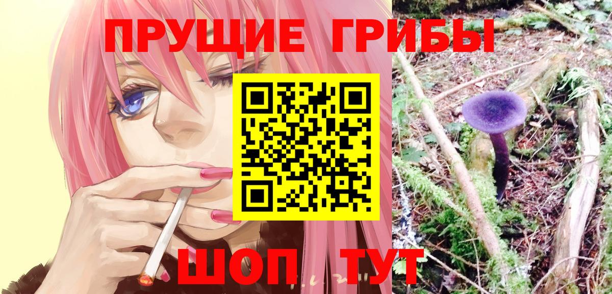 Галлюциногенные грибы Cubensis Александров