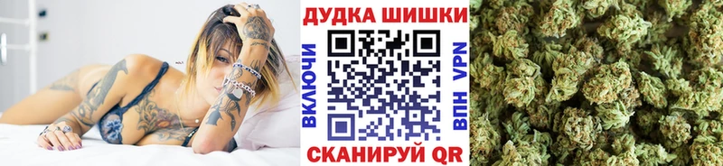 Конопля гибрид Александров